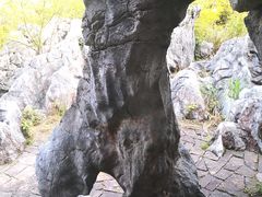 -千岛湖石林