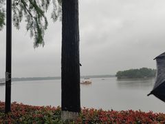 -东湖落雁景区
