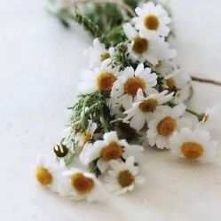 -Oasis Beauty水磨坊科技美肤中心