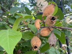 -长安大学(北校区)