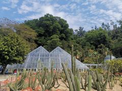 -深圳仙湖植物园