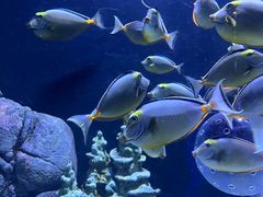 -成都浩海立方海洋公园