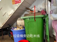 -正宗杨记普洱酸醋米线(总店)
