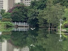-荔枝公园(福田区)