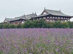 -长春北湖公园