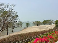 -宝安西湾红树林湿地公园