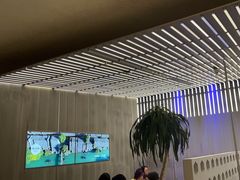 -苏小柳点心·手作小笼包(浦东嘉里城分院)