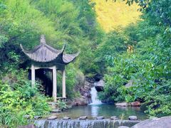 -大奇山国家森林公园