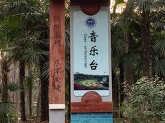 -音乐台