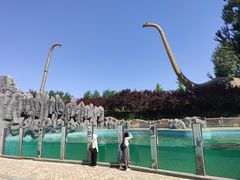 -北京野生动物园