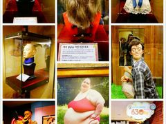 -信不信由你博物馆