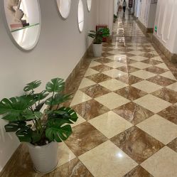 -顺德壹加壹美容医院