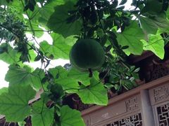 iphone_upload_pic-檀园