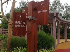 -大亚湾红树林城市湿地公园
