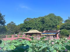 -广州莲花山旅游区