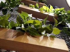 -吉祥馄饨(虹桥火车站店)