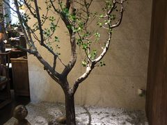景观位-王府茶宴(大观园总店)
