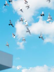 -格乐利雅婚礼艺术中心(南外滩店)