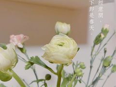 -循礼门鲜花花市(武汉循礼门店)