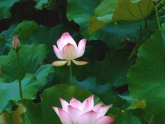 -丝绸小镇荻港古村