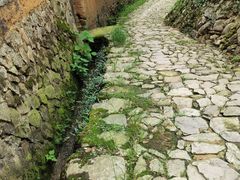 -杨家堂村