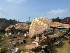 -桃源山庄·水蜜桃采摘·柴火鸡·烧烤团建(龙泉山店)
