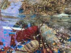 -船奇蒸汽海鲜·闽菜(八市海鲜总店)