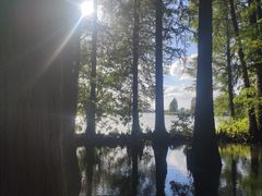 -东湖落雁景区