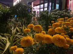 -芽庄MP泰式海鲜海景餐厅