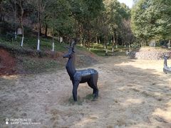-汤山公园