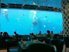 -瑞德姆美人鱼海底演艺主题餐厅(亚龙湾店)