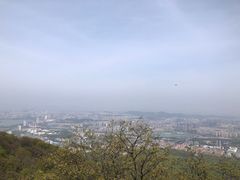 -紫金山山顶公园