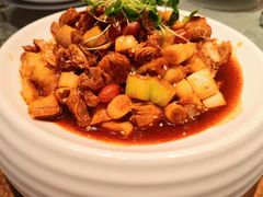 凉拌剑阁土鸡-樽宴酒楼·地道川菜·品质宴请