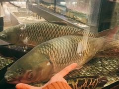 脆肉皖-官也街澳门火锅(新源里店)