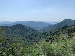 -大岭沟猕猴桃谷风景区