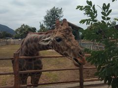 -西安秦岭野生动物园