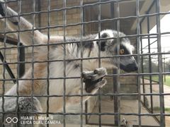 -石家庄市动物园