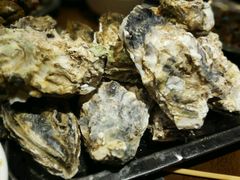 -威海小海鲜大排档胖哥烧烤(双井店)