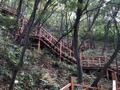 -大岭沟猕猴桃谷风景区