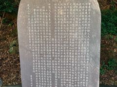 -羚羊峡古栈道森林公园