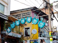 -猫咪博物馆(顶澳仔猫街店)