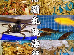 -乔哥铭洋海鲜自助(皇城恒隆广场店)