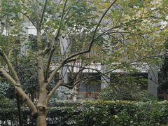 -成都安仁福朋喜来登酒店
