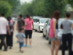 -庞各庄翠芳园西瓜蔬菜基地采摘园