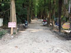 -东平国家森林公园