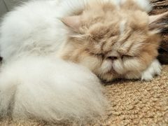 -龙猫仔乐园(惠福东路店)