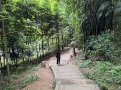 -凤栖山