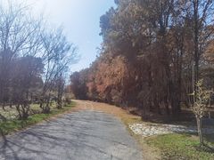 -上海海湾国家森林公园