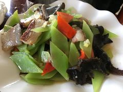 -谭家菜农夫山庄