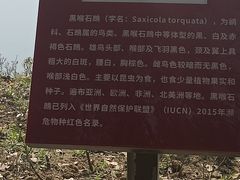 -金银湖国家城市湿地公园